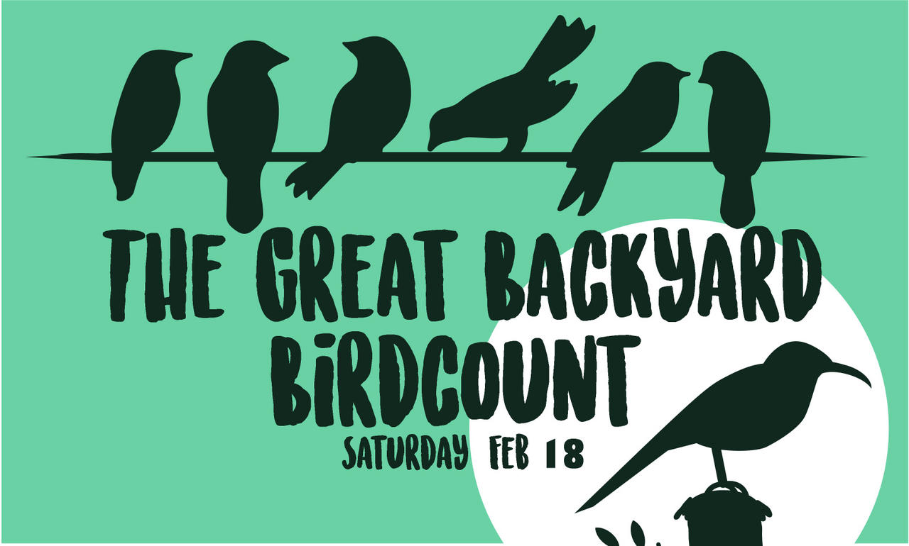 Great Backyard Bird Count | Audubon Center at Debs Park