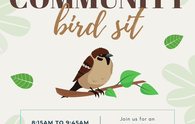 Community Bird Sit