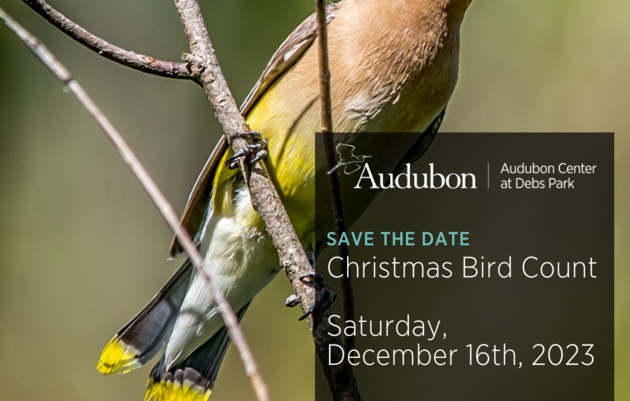 Annual Christmas Bird Count 