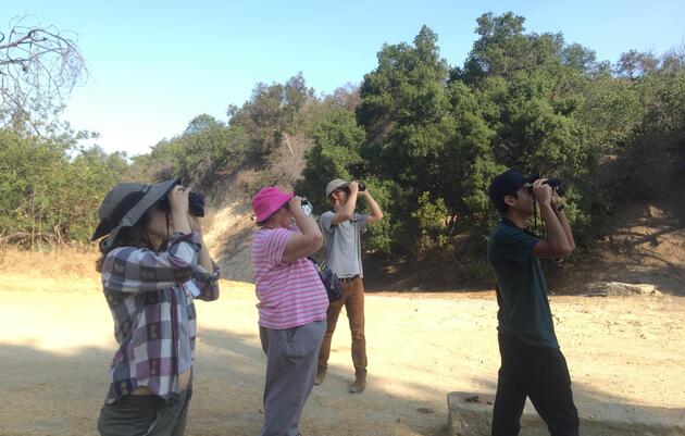 Community Bird Walk | Paseo de aves comunitario - Great Backyard Bird Count