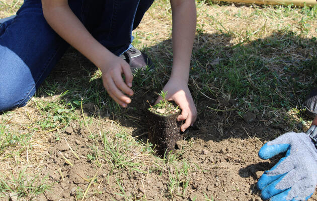 Community Planting Day | Día de Siembrar en Comunidad