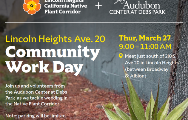 Community Work Day at Lincoln Heights Ave. 20 Native Plant Garden