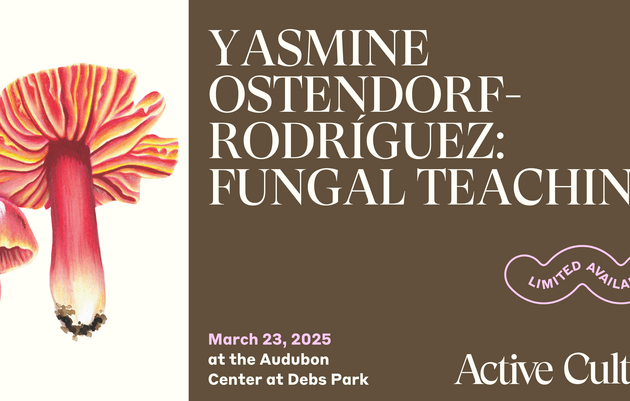 Yasmine Ostendorf-Rodríguez: Fungal Teachings