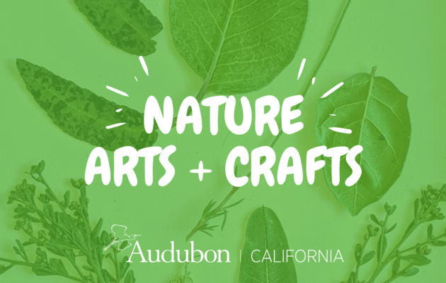Nature Arts & Crafts