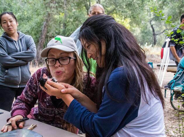 Audubon Starr Ranch wraps up its 19th bird banding season