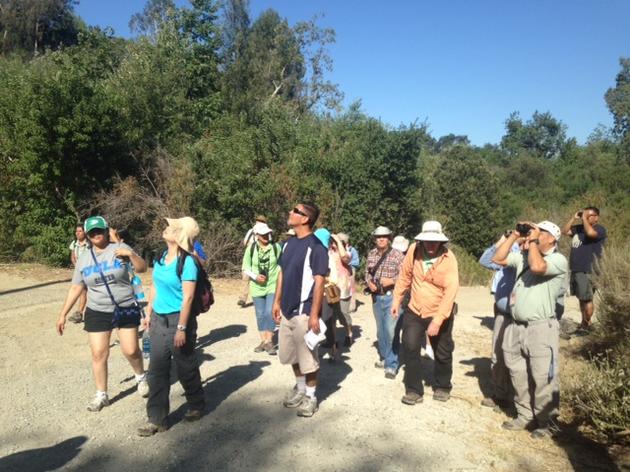 Southland to celebrate second annual Bird LA Day May 7