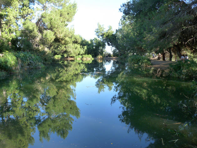 L.A. County's Measure A has direct benefits to birds and habitat