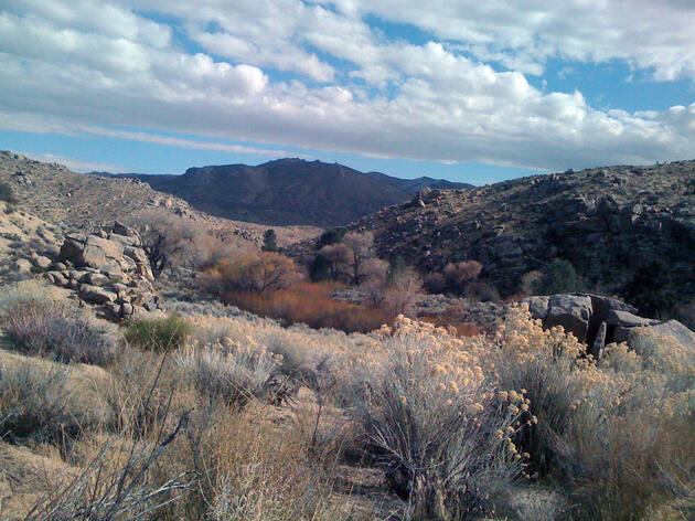 Audubon chapters take another step toward protecting important Kern County habitat