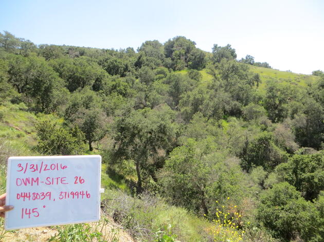 Drought, then flood at the Audubon Starr Ranch Sanctuary