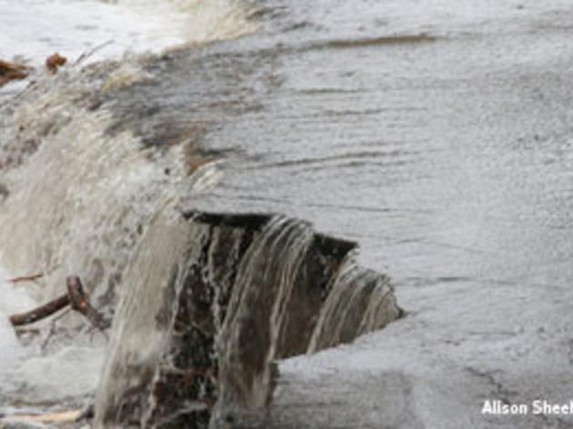 Big-time flooding around the Audubon Kern River Preserve