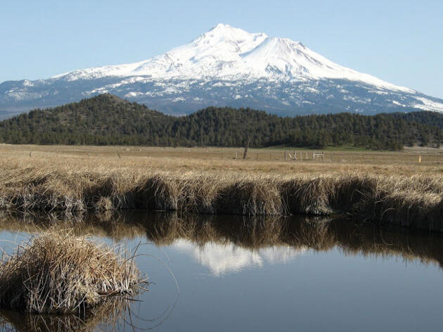 Interior Secretary celebrates anniversary of refuge system, just days after axing lead ban