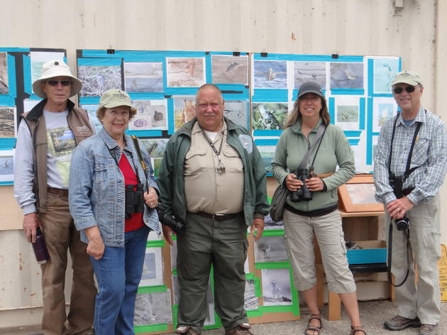 Victory for shorebirds and stewards of Ormond Beach