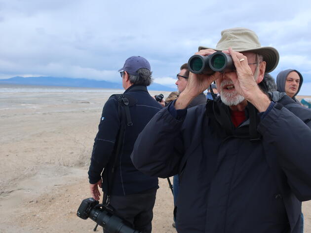 Visiting the Salton Sea