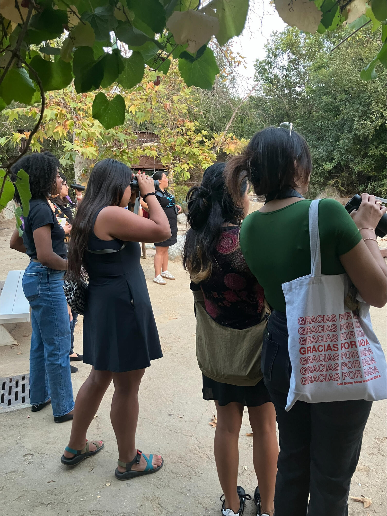 Group standing close to one another looking at bird