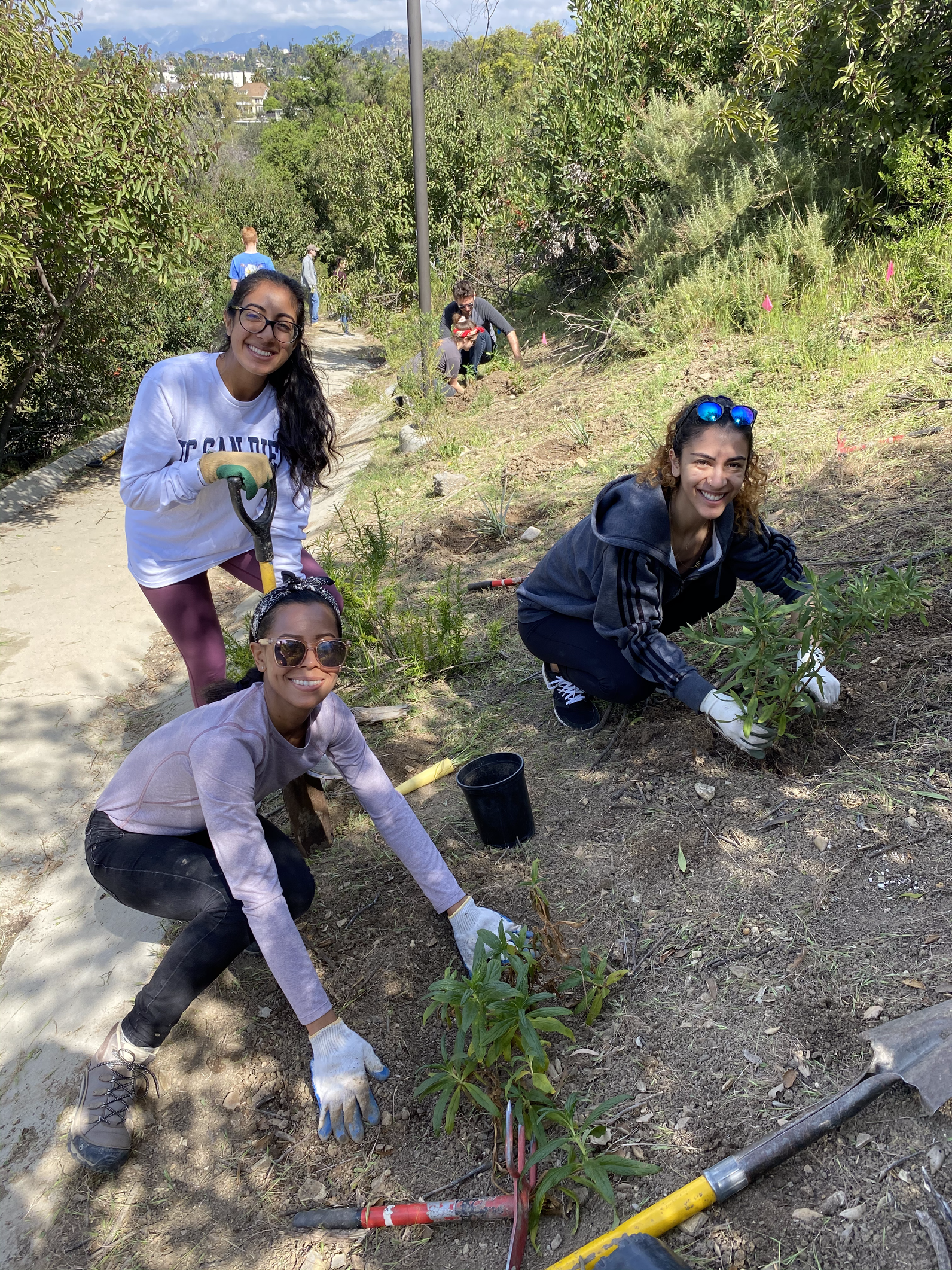 Volunteer maintaining native plants at Debs Park