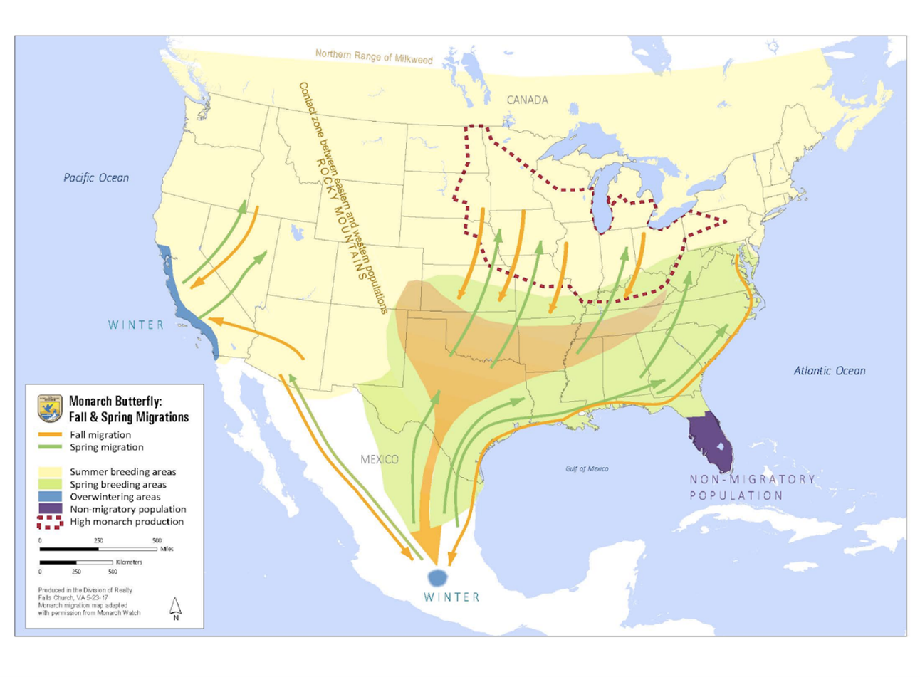 Fall and Spring Migration of the Monarch Butterfly - U.S. Fish and Wildlife 