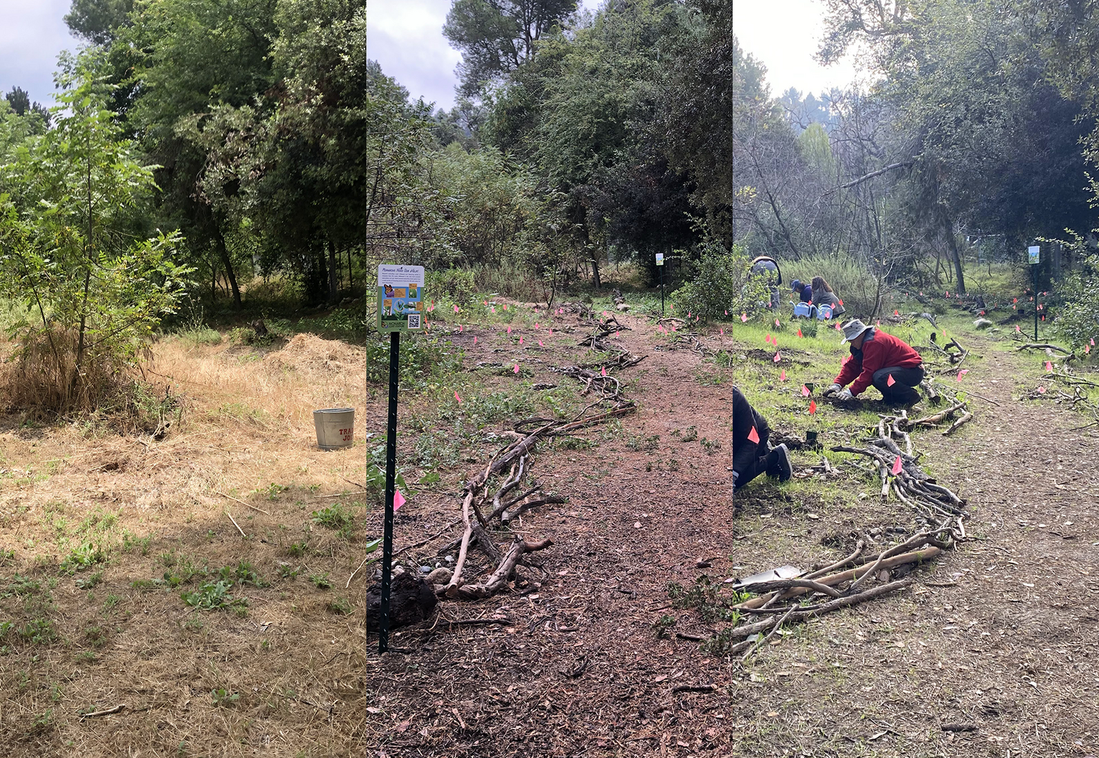 Three photos, showing Monarch Alley at various stages of restoration.